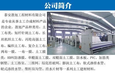 生态绿化三维植被网 山东盈旭厂家直供，土工网垫批发价格全解析